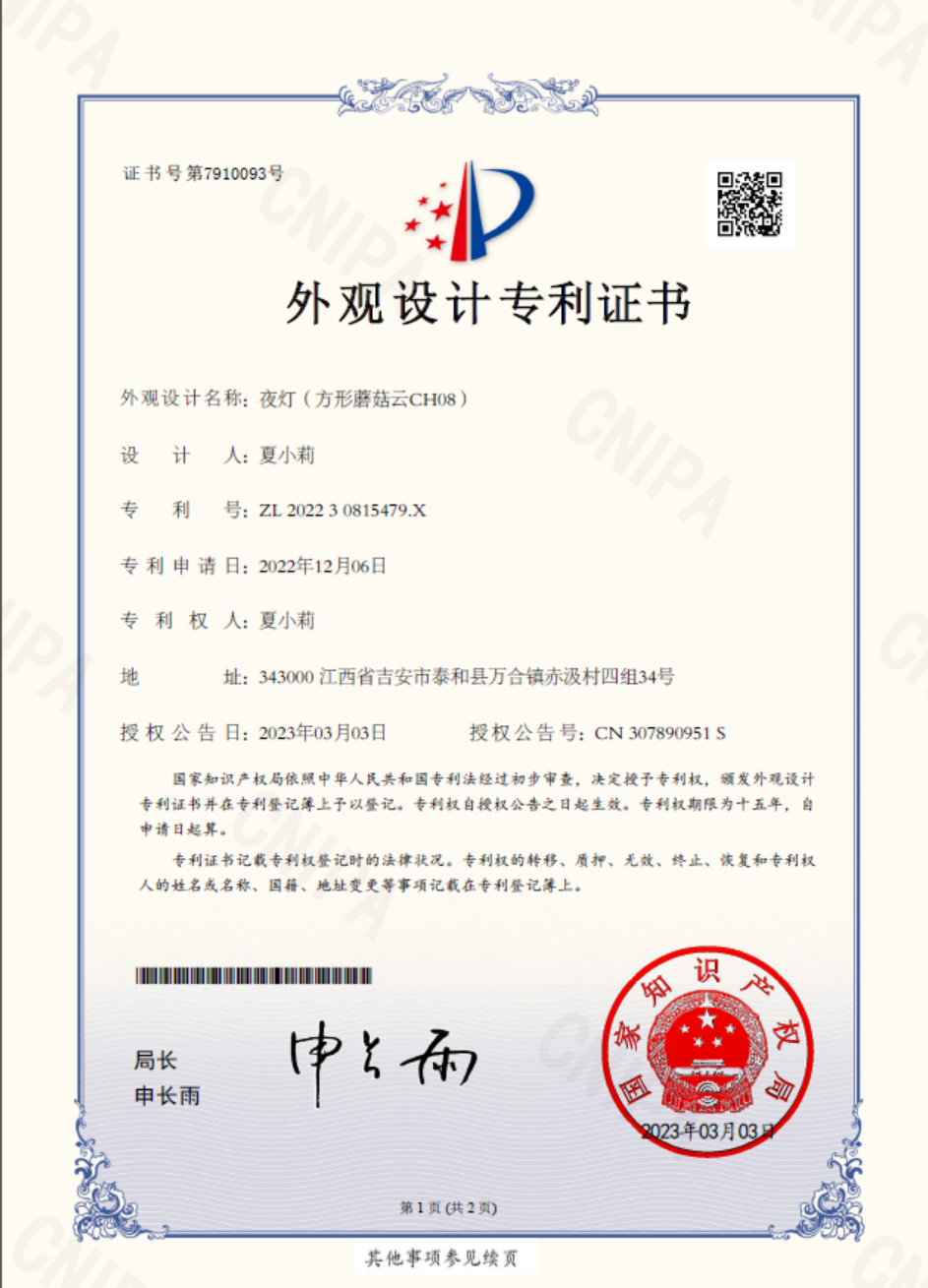 United States patent certificate